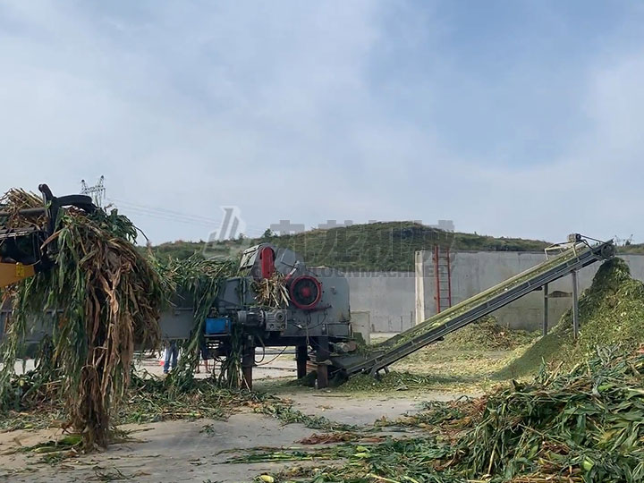 青貯秸稈粉碎機(jī) 青貯秸稈粉碎機(jī)
